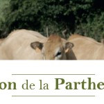 Maison  de la Parthenaise