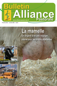 Bulletin de Alliance Pastorale N°896 - Février 2019
