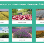 Centre de ressource glyphosate en ligne