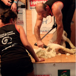 La tonte,  c’est du sport !