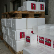 Photo Magasin Alliance de Bellac - 12