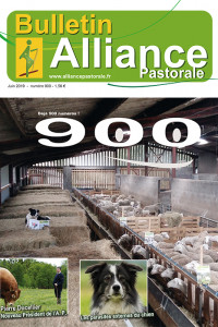 Bulletin de l'Alliance Pastorale N°900 - Juin 2019