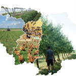 L’Agriculture Bio d’Ile de France à la loupe !