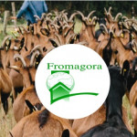 Lancement des inscriptions pour Fromagora en septembre 2019 !