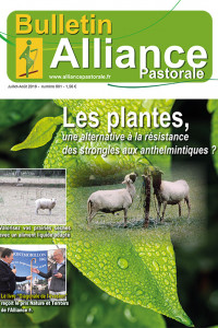 Bulletin de l'Alliance Pastorale N°901 - juillet/août 2019