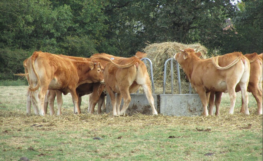 Valorisez vos prairies sèches avec un aliment liquide adapté