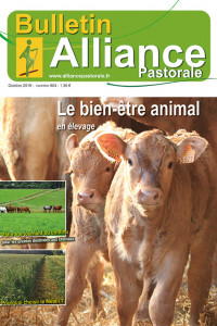 Bulletin Alliance Pastorale N°903 - Octobre 2019