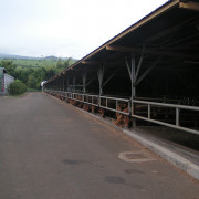 Photo Magasin Alliance de Relais Sica Revia (La Réunion) - 2