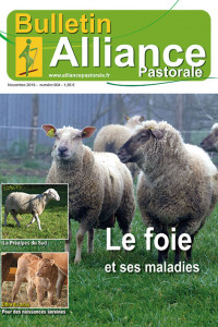 Bulletin Alliance Pastorale N°904 - Novembre 2019
