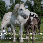 Consommation française de viande chevaline en recul