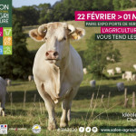 L'égérie  du prochain Salon de l'Agriculture est une Charolaise Idéale
