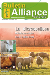 Bulletin Alliance Pastorale N°905 - Décembre 2019