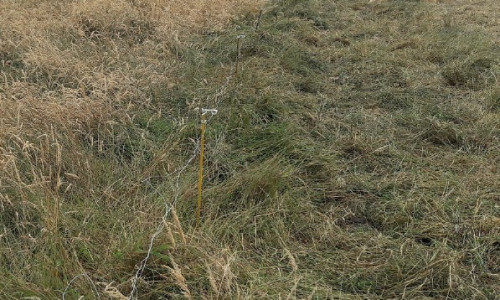 La pratique du report de stocks fourragers sur pieds dans  l’exploitation  des prairies