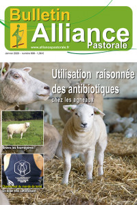 Bulletin Alliance pastorale N°906 - Janvier 2020