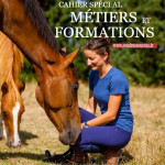 Guide des métiers et formations dans la filière équine