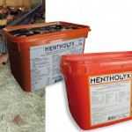 Zoom sur le  MENTHOLYX
