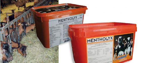 Zoom sur le  MENTHOLYX