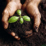 MONTERBLANC-MORBIHAN : Du compost gratuit pour les agriculteurs