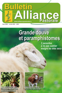 Bulletin Alliance Pastorale N°908 - Mars 2020