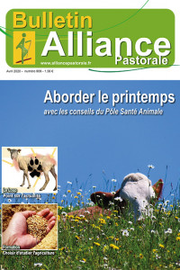 Bulletin Alliance Pastorale N°909 - Avril 2020