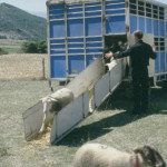 COVID-19. La MSA complète et met à jour les consignes de sécurité et gestes barrière pour travailler en sécurité