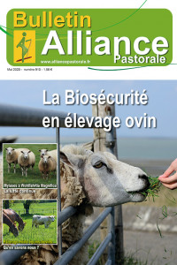Bulletin Alliance Pastorale N°910 - Mai 2020
