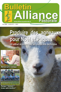 Bulletin Alliance Pastorale N°911 - Juin 2020
