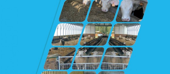 4ème édition  du protocole Hygiène