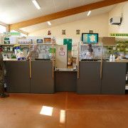 Photo Magasin Alliance de Confolens (Lessac) - 2