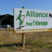 Photo Magasin Alliance de Confolens (Lessac) - 30