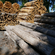 Photo Magasin Alliance de Confolens (Lessac) - 37
