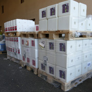 Photo Magasin Alliance de Confolens (Lessac) - 57