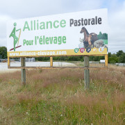 Photo Magasin Alliance de Boisseuil - Limoges - 2