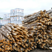 Photo Magasin Alliance de Boisseuil - Limoges - 8
