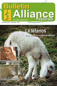Bulletin de l'Alliance Pastorale N°913 - Septembre 2020