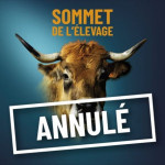 LE SOMMET DE L’ÉLEVAGE 2020 annule sa 29e  édition