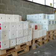 Photo Magasin Alliance de Souvigny - 70