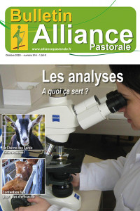 Bulletin de l'Alliance Pastorale N°914 - Octobre 2020