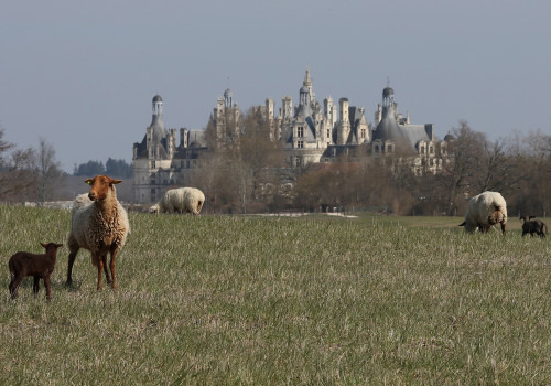(c) Domaine national de Chambord - Olivier Marchant - (c) Domaine national de Chambord - Olivier Marchant (c) Domaine national de Chambord - Olivier Marchant - (c) Domaine national de Chambord - Olivier Marchant