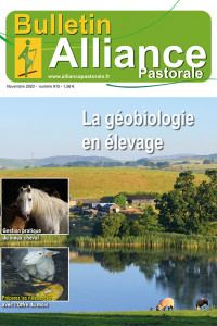 Bulletin de l'Alliance Pastorale N°915 - Novembre 2020