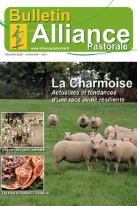 Bulletin de l'Alliance Pastorale N°916 - Décembre 2020