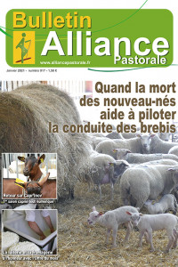 Bulletin de l'Alliance Pastorale N°917 - Janvier 2021