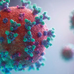 COVID-19  Pas de rôle des animaux  dans la propagation du virus
