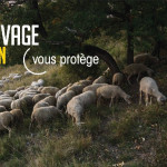 Des panneaux pour communiquer sur l’élevage