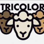 Lancement officiel du collectif Tricolor pour la renaissance des laines françaises