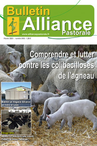 Bulletin de l'Alliance Pastorale N°918 - Février 2021