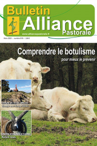 Bulletin de l'Alliance Pastorale N°919 - Mars 2021