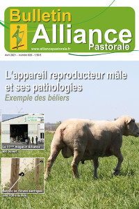 Bulletin de l'Alliance Pastorale N°920 - Avril 2021