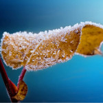 Lancement de “Coup de froid dans nos assiettes
