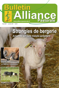 Bulletin de l'Alliance Pastorale N°921 - Mai 2021